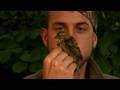 Understanding West Nile Virus and Bird Research