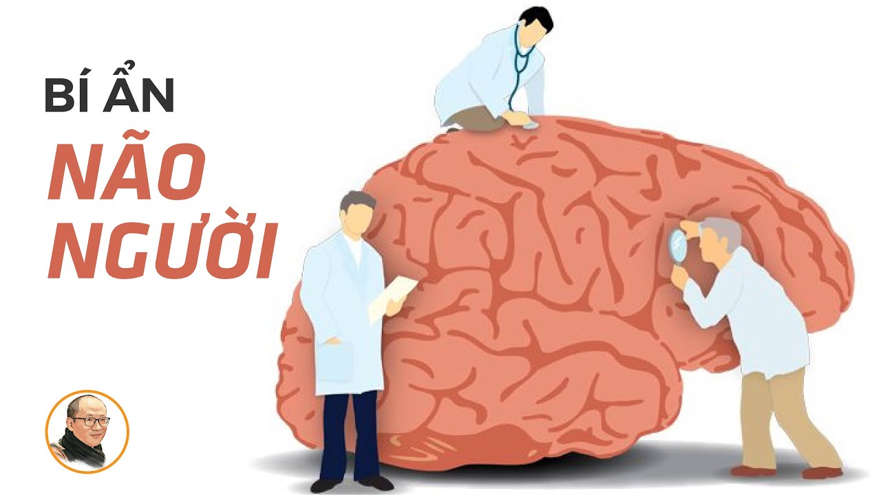Outline Video Bí ẩn não người | Nhà báo Phan Đăng