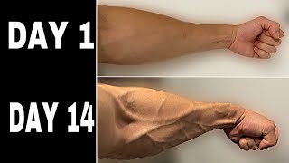 Veiny Arm Transformation In 14 Days
