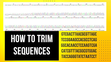 How to Edit Forward and Reverse DNA Sequence? Quality Trimming through Bioedit@DrZahidMumtaz