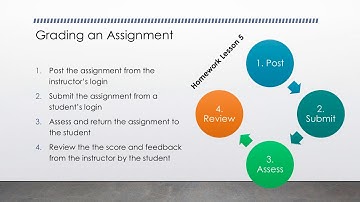 Assignments in Sakai