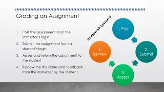 Assignments in Sakai