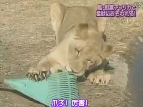 Masaki Aiba, 相葉 雅紀