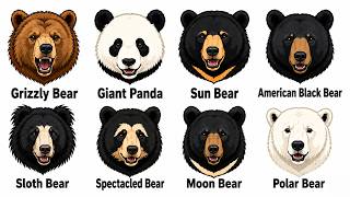 8 Incredible Bears That Rule the Wild🐻
