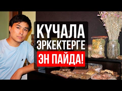 Күчаланын ден соолукка пайдасы