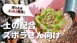 Succulents] Only two types of soil are needed! Easy and cute soil