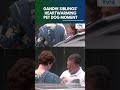 Rahul & Priyanka Gandhi Share Heartwarming Moments With Pet Dog & Children | Congress | N18S