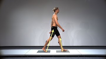 TEMPLO® Gait - Dashboard Analysis - Force // 2D Markerless Tracking