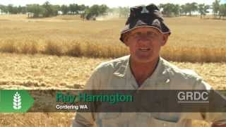 IWM: Weed Seedbank Destruction - Seeing Results From Integrated Weed Management