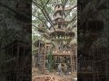 Build a House top of the Tree by/ #aetherforge #trendingshorts #automobile #japan #trending #house