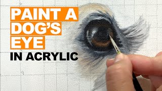 Paint a Realistic Dog’s Eye in Acrylic