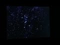 Orion Pictures AIP 1998 1978 Orion Pictures AIP 1998 1978