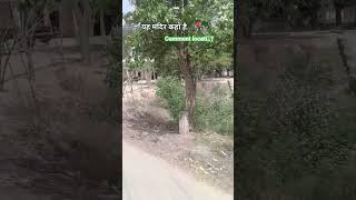 Comment loca...? #viral #mahadev #travel #trendingshorts #goviral #explorepage