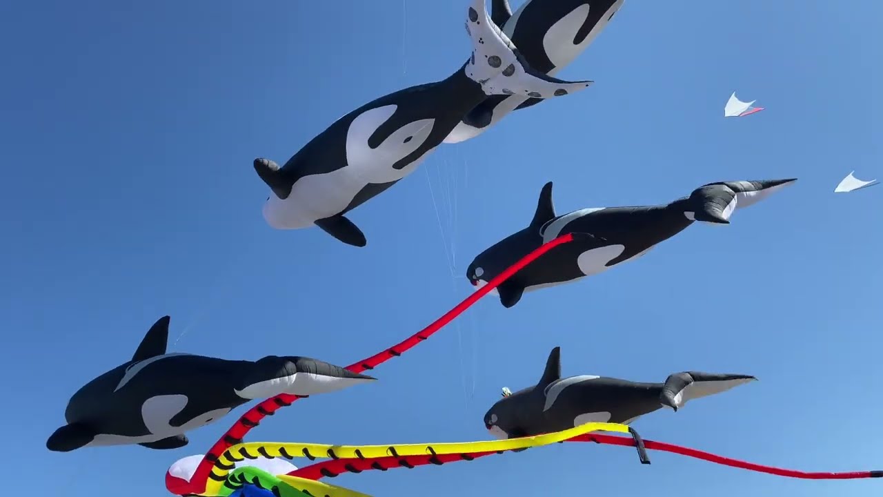 2023 LC Summer Festival