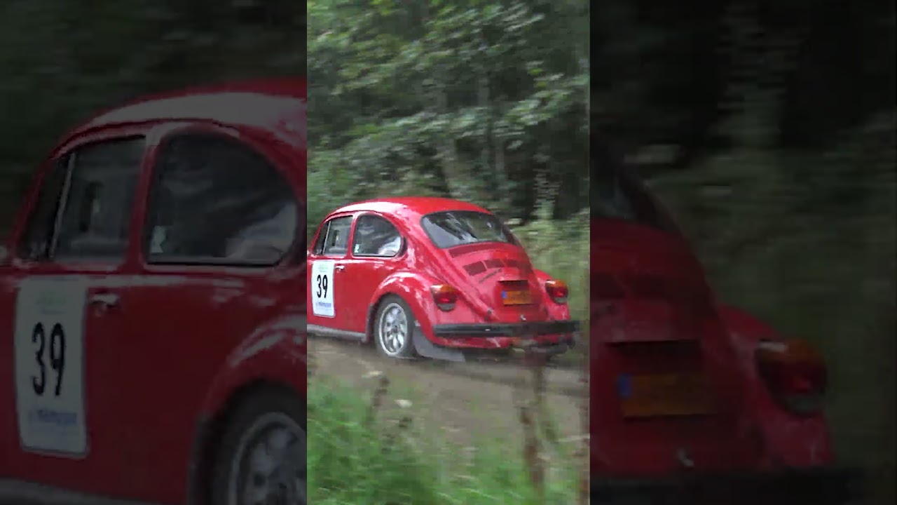 Volkswagen Beetle Rally Action: Classic Performance on the Track! 🚗💨 