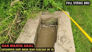 Crazy! A small spot has a fish this big || Fishing for goldfish in the rainy and flood season is ...