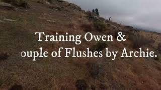 Training Owen & Archie Flushes