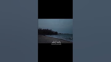 هَذِهِ جَهَنَّمُ الَّتِي كُنْتُمْ تُوعَدُونَ||تلاوة خاشعة بصوت الشيخ محمد اللحيدان 🌿💗
