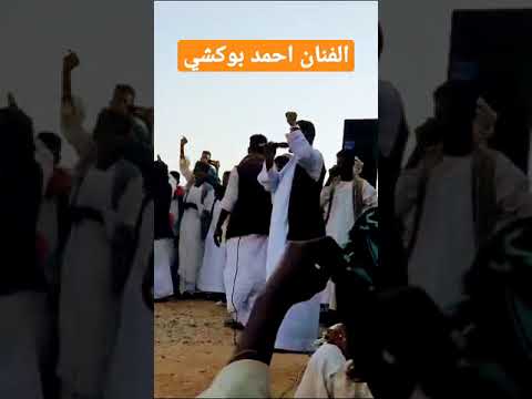 الفنان أحمد بوكشي