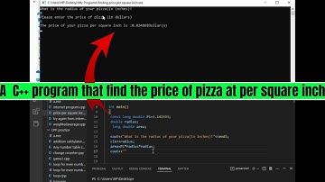 A C++ Program for Calculating Price Per Square Inch of Pizza