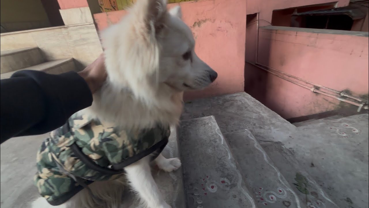 Jacky Se Millo Guyzs♥️| Hargun Vlogs