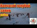 Капчагай голубой залив ловля воблы и толпа рыбаков)))