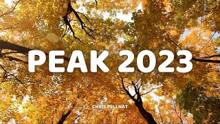 Chris Pellnat - Peak 2023 (Lyrics)