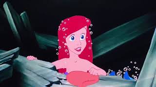 Ariel And Dory Found Human Stuff