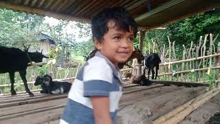 Arci Hein Bibi Iha We-Eulaek