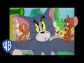 Том и Джерри | Как поймать мышку | WB Kids