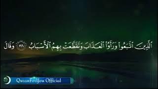 Juz 2 full || Beautiful quran || by sheikh hani ar rifai