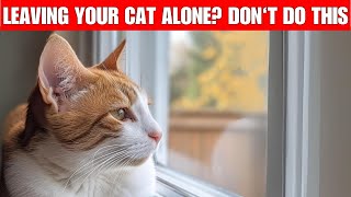 10 things you should NEVER do when you leave your cat home alone