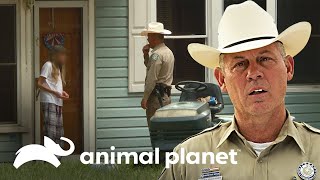 Invasión de propiedad privada en Texas | Guardianes de Texas | Animal Planet Latinoamérica