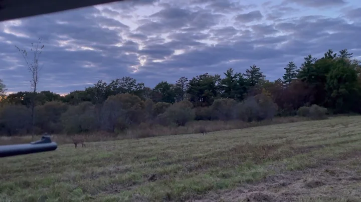 My daughter’s first deer (proud dad moment)