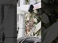#cctvcamera #securitycamera #technicalofficialararia #cppluscamera STQC 8MP