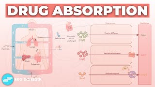 Drug Absorption - Pharmacokinetics | Pharmacology