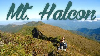 MT. HALCON