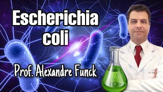 ESCHERICHIA COLI (E. COLI) - PROF. ALEXANDRE FUNCK