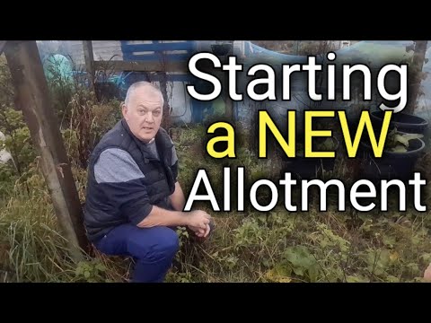 How to Start a New Allotment | Vegetable Garden | Gardening for ...