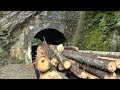 Logging Train on the Vaser Valley Forestry Railway, Romania