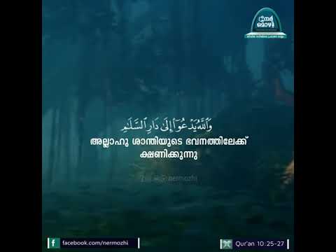 അല്ലാഹു ശാന്തിയുടെ ഭവനത്തിലേക്ക് ക്ഷണിക്കുന്നു | Qur&rsquo;an 10:25-27 | Nermozhi