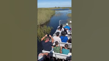 Thumbnail of It’s always raining on this side #airboat #florida #gators #outdoors