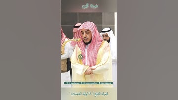 تلاوة خاشعة 🕊 سورة  التين 🕊  #للشيخ .د #الوليد_الشمسان