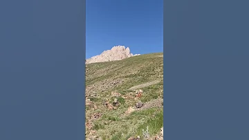 نعمات همواره وجود داره من فقط کافیه در مدار قرار بگیرم 