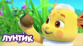 видео: Лунтик | Это любовь ❤❤❤ Сборник мультиков для детей картинка: Лунтик | Это любовь ❤❤❤ Сборник мультиков для детей