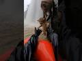 Monkey Saves Lion Cub from Raging Flood! 🐒🦁 サルが激流から子ライオン救出！🐒🦁 원숭이가 홍수에서 새끼 사자 구조!🐒🦁 NOW RESCUE 救助!!!