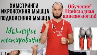 Мышечное тестирование(хамстринг). Прикладная кинезиология. Обучение ММТ