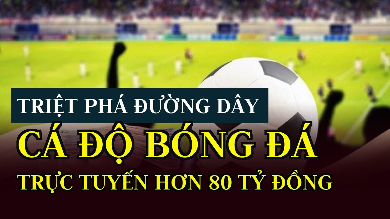 dragon ball 7 0 Triệt phá đường dây cá độ bóng đá trực tuyến hơn 80 tỷ đồng