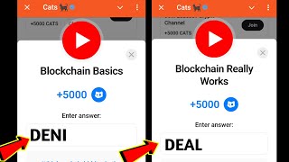 Blockchain Basics Cats | Blockchain Really Works Cats Code | 26-27 December Cats All Video Codes