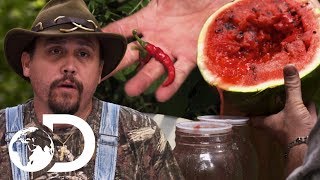 Mike Daniel Put A Hot New Twist On Watermelon Moonshine Moonshiners